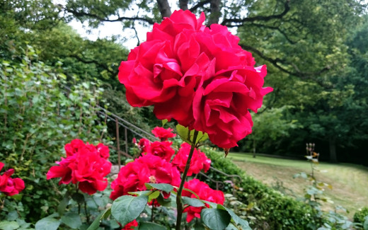 952336 (a): :2560x1600